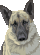 vests4pets001014.gif